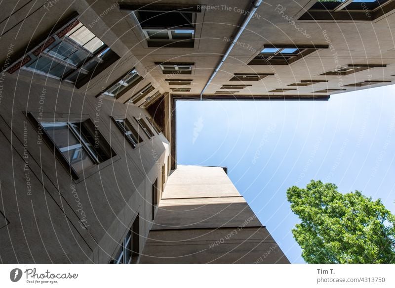 Blick nach oben im Hinterhof Berlin Prenzlauer Berg Innenhof Menschenleer Stadt Haus Hauptstadt Stadtzentrum Altstadt Altbau Außenaufnahme Fenster Bauwerk