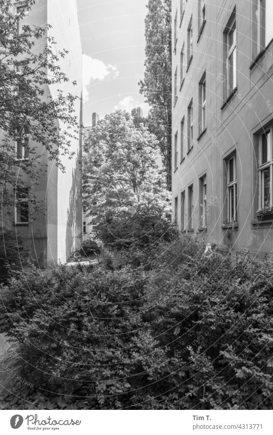 ein Hinterhof in Prenzlauer Berg Berlin s/w bnw Außenaufnahme Stadt Tag Hauptstadt Menschenleer Schwarzweißfoto Stadtzentrum Altstadt Bauwerk Gebäude