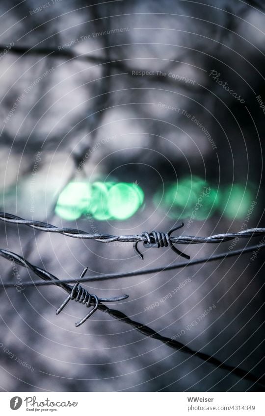 Es gibt zwar grünes Licht, aber der Stacheldraht verhindert, dass man weiterkommt abwehren verboten spitz gefährlich Stacheln Zaun Abwehr Durchgang Zukunft