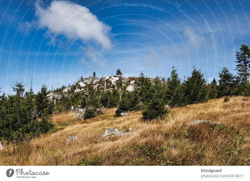 Dreisesselberg im Drei-Länder-Eck Deutschland-Österreich-Tschechien Bayerischer Wald Tanne Berge Himmel Wolken Landschaft Wandern Urlaub Freiheit Waldsterben