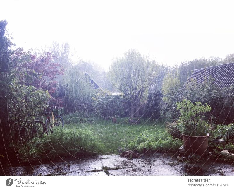 Es gibt kein schlechtes Wetter - nur schlechte Kleidung... Schrebergarten Garten Regenschauer Regenguss Schauer Sommer Sommerregen Natur Wolkenbruch nass Wasser