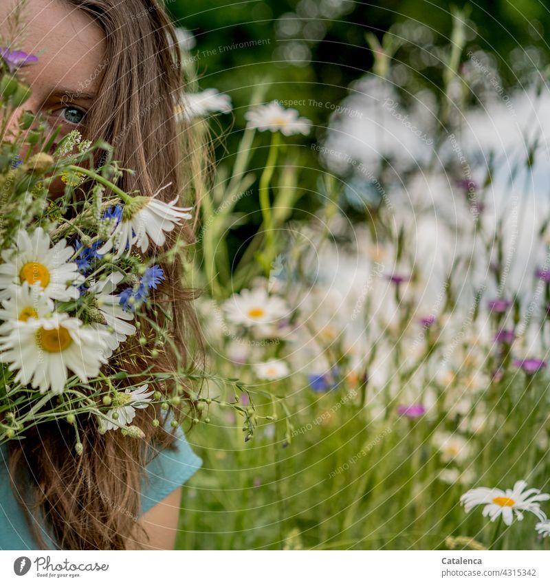 Die junge Frau hält einen Strauß Wiesenblumen, im Hintergrund eine Blumenwiese Natur Flora Person weiblich brünett blauäugig schauen Pflanze Blüte duften