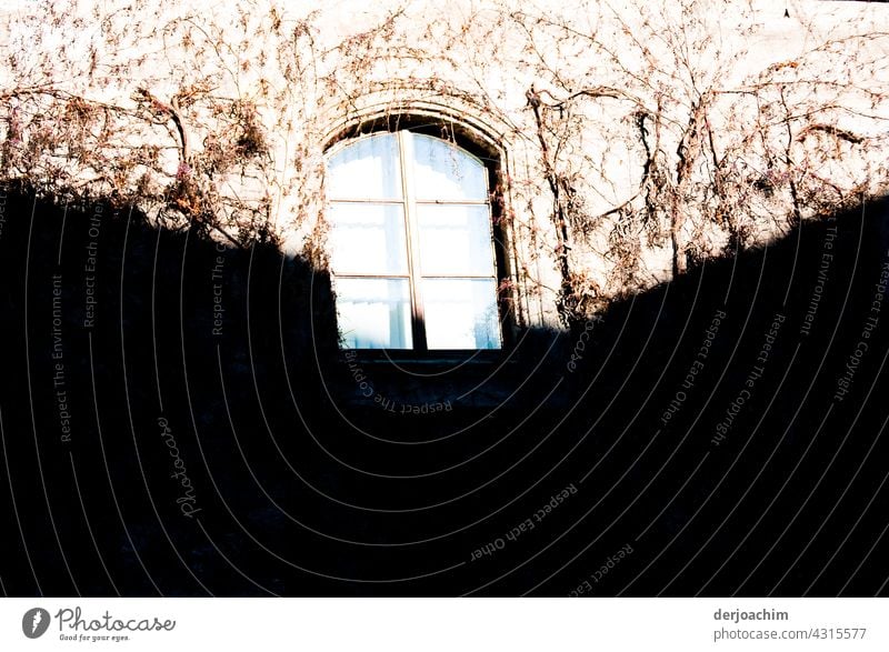 Ein geschlossenes Fenster mit Rundbogen, im hellen Sonnenschein im Herbst. Links und rechts vom Fenster liegt alles im dunklen Hintergrund. Haus Gebäude