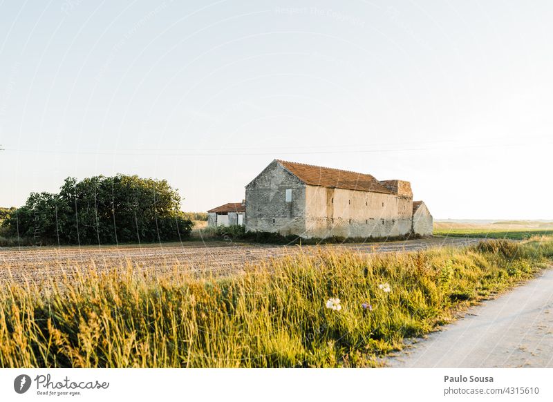 Verlassenes Haus auf dem Feld Farbfoto Architektur alt Gebäude Menschenleer Ruine Bauwerk Fenster Fassade Außenaufnahme