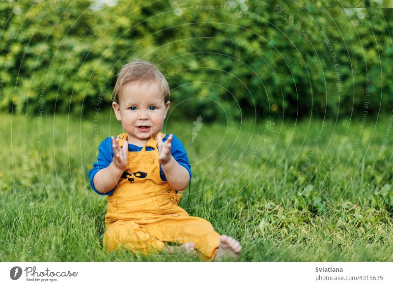 Glückliche charmante Baby Junge in modische Kleidung sitzen auf dem Gras im Garten an einem Sommertag Kind niedlich bezaubernd Tag Sitzen grün Spaß Park Wiese