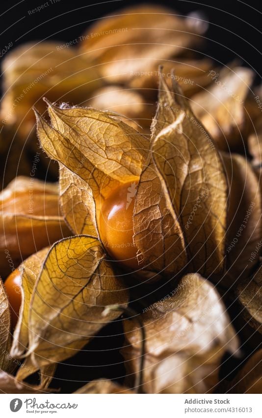 Muster von Physalis auf dunklem Tisch Hintergrund übergangslos Frucht exotisch Peruanische Erdkirsche Reihe Linie lecker organisch orange Kulisse