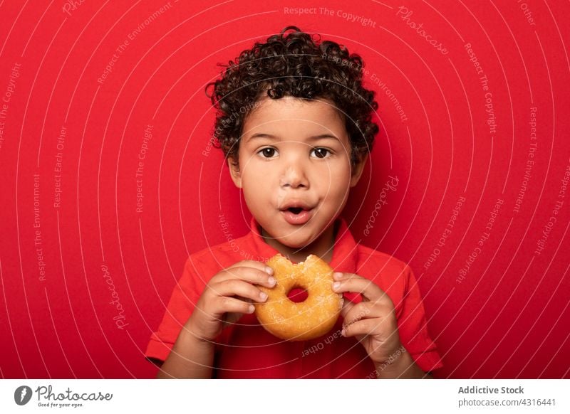 Süßer Junge isst Donut im Studio Kind Krapfen essen Doughnut süß geschmackvoll Dessert Leckerbissen lecker Lebensmittel hungrig Kindheit niedlich Gebäck