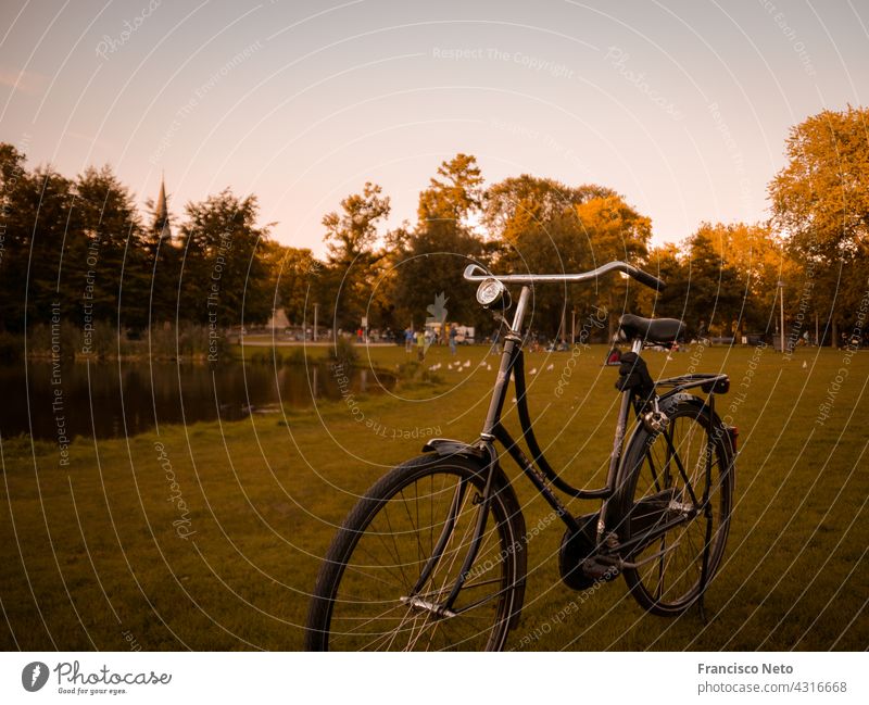 Fahrrad in Amsterdam automn fallen Verkehr Niederlande Farbfoto Europa Straße Außenaufnahme urban Park Großstadt Ferien & Urlaub & Reisen