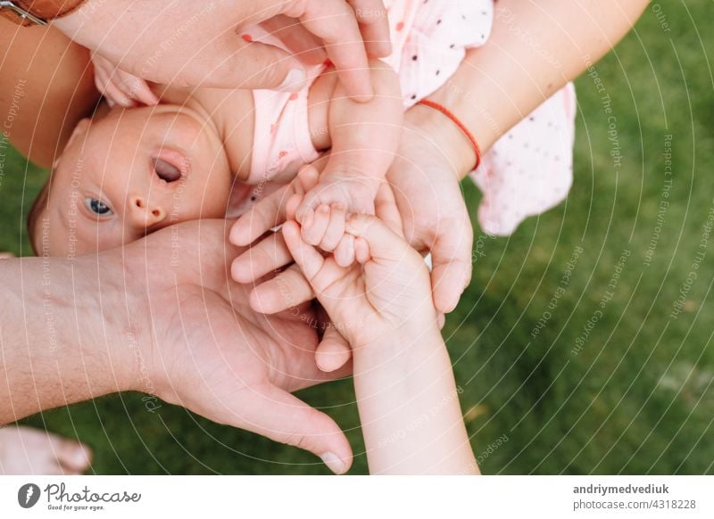 Die Hände der ganzen Familie. Hände von Mama, Papa und Kindern. Vier Hände der Familie. Das Konzept der Einheit, Unterstützung, Schutz und Glück. Zusammensein