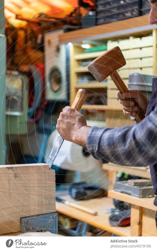 Professioneller Schreiner mit Hammer und Meißel in der Werkstatt Zimmerer Tischlerin Beitel Holz Mann Werkzeug geschnitten Schreinerei Holzarbeiten