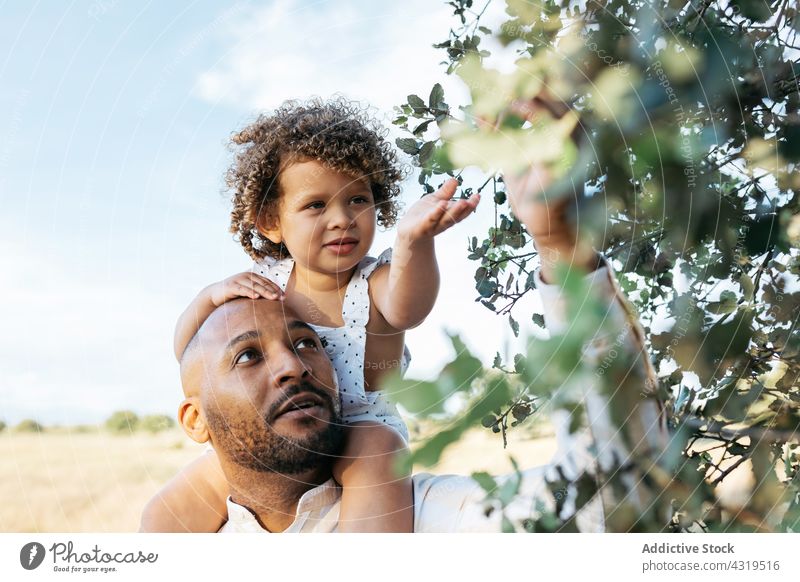 Schwarzer Vater und kleines Mädchen erkunden die Natur im Sommer Tochter neugierig Interesse Zusammensein Landschaft Eltern schwarz Afroamerikaner ethnisch