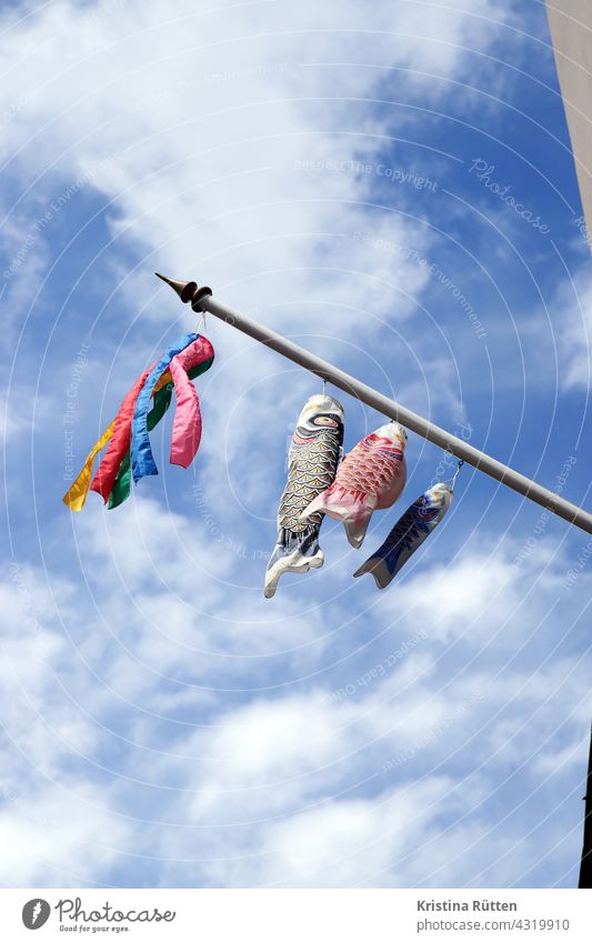 karpfenfahnen flattern am fahnenmast windkoi windkois koinobori koi-nobori karpfendrachen windspiel fähnchen deko dekoration bunt fröhlich wehen himmel