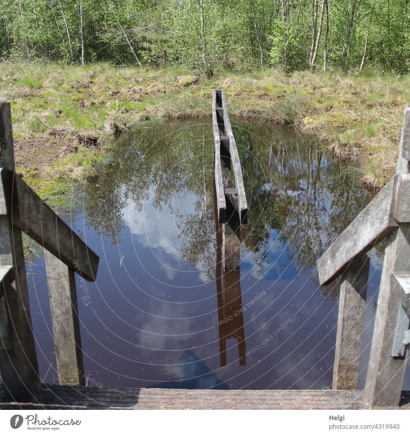 Wassertretanlage im Moor Moorwasser Wassertreten Treppe Geländer Holz Einstieg moorig Spiegelung Sonnenlicht schönes Wetter außergewöhnlich Natur Außenaufnahme