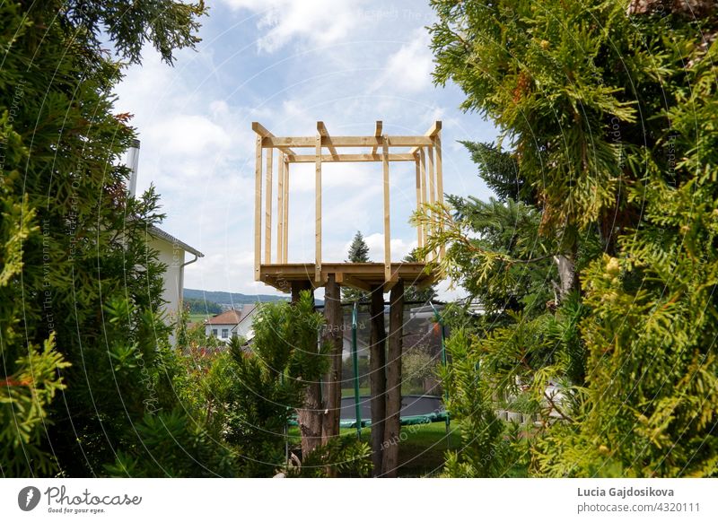 Baumhaus-Skelett aus Holzbalken. Es ist von Zedernbäumen umgeben. Architektur Hintergrund Ast braun Gebäude Bauausführung Kind Konstruktion Textfreiraum