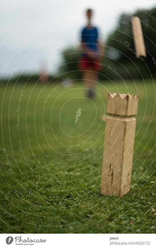 Ferienzeit | Kinder spielen Wikingerschach auf einer Wiese Freizeit & Hobby Spielen spass Spielzeug Kindheit Jugendliche jugend Freude Spaß Glück Fröhlichkeit