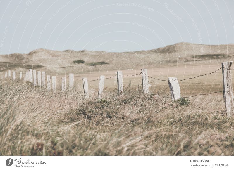 line Umwelt Landschaft Wolkenloser Himmel Wärme Dürre Pflanze Gras Sträucher Farn Wildpflanze Wiese Hügel Trennung Zaun Drahtzaun Holzpfahl abgelegen trocken