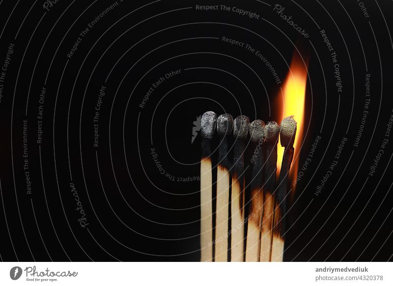 Brennende Streichhölzer auf schwarzem Hintergrund. Streichhölzer auf Feuer in der Reihe der Verbrennung ist Sequenz, während ein Streichholz bleiben unten von brennenden zu vermeiden, Feuer zu verbinden vor schwarzem Hintergrund