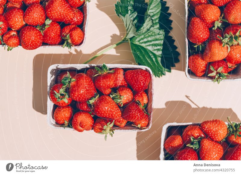 Makro von frischen Erdbeeren Beeren Sommer erdbeeren reif lecker Ernährung geschmackvoll Lebensmittel-Flatlay Diät rot süß Bauernhof Kommissionierung nahrhaft