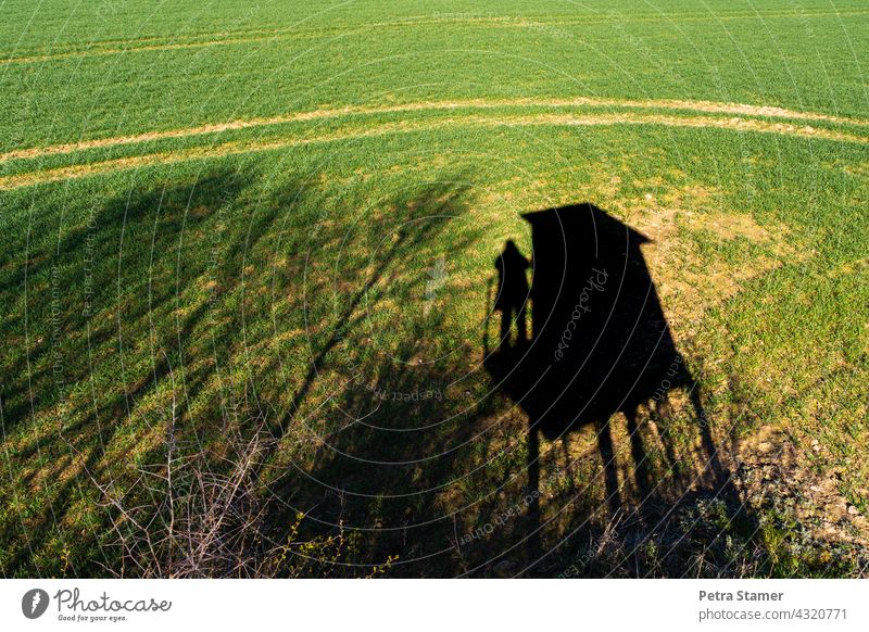 Fotojäger Schatten Schattenspiel Jäger Jagd Hochsitz Aussicht Feld Landschaft Natur Baum grün schwarz Außenaufnahme beobachten stehen Mensch