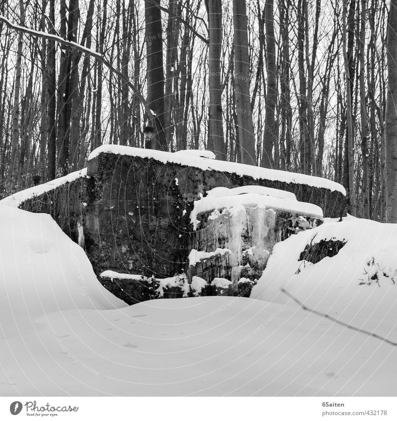 kalte Zeiten Winter Schnee Wald Menschenleer Ruine Bunker Fassade Denkmal "Irrweg Schmerz" frieren bedrohlich gruselig Tod schuldig Hochmut Einsamkeit Ende