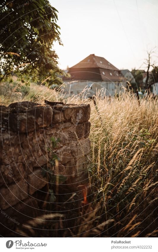 #A# ländlich Wiese Bauernhof Mauer Mauerstein wiesen Außenaufnahme Natur Gras Landschaft Sommer Feld Landwirtschaft