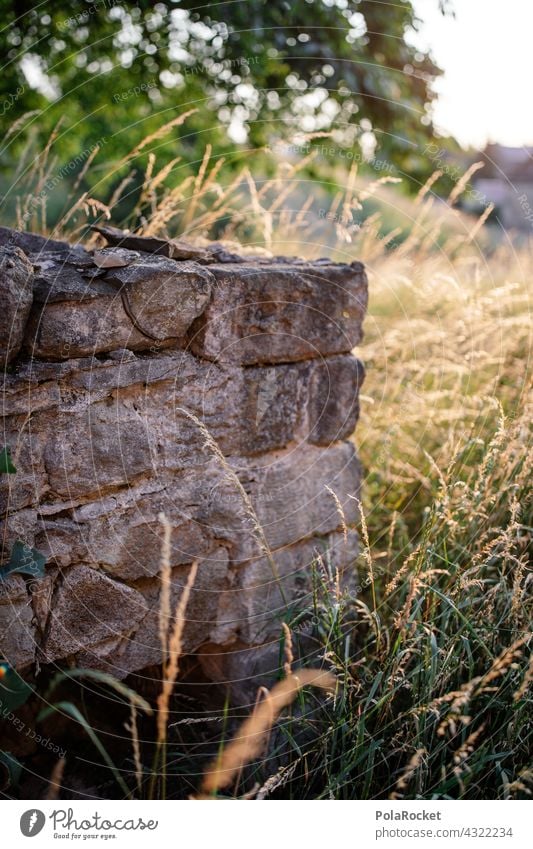 #A# ländlich Wiese Bauernhof Mauer Mauerstein wiesen Außenaufnahme Natur Gras Landschaft Sommer Feld Landwirtschaft