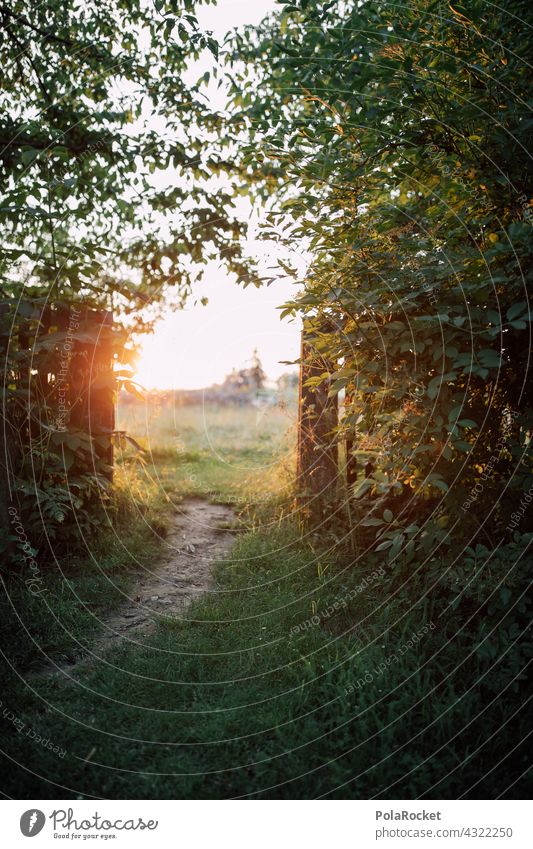 #A# Weg zur Sonne Wege & Pfade Wegrand Wegbiegung Perspektive Sonnenuntergang Feld Wiese Tor Tür Öffnung Außenaufnahme Natur Himmel Farbfoto Landschaft Gras