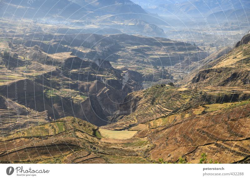 Warten auf Gandalf Ferien & Urlaub & Reisen Ferne Freiheit Berge u. Gebirge Natur Landschaft Schönes Wetter Schlucht Colca Canyon Fluss Menschenleer entdecken