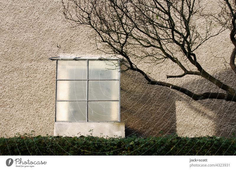 Eingang mit Windfang im Winter Architektur Eingangstür Tür kahler Baum Sonnenlicht Schatten Hecke Wintertag Zweige u. Äste Putzfassade DDR Haus Berlin Marzahn