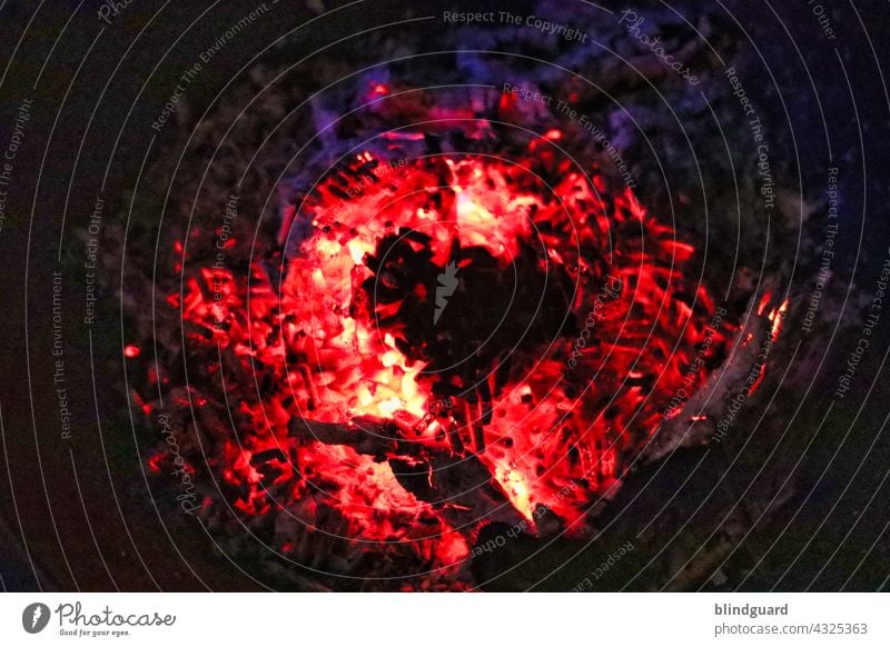 Burning Heart Wärme Glut Pellets Feuer heiß rot gelb blau weiß schwarz Farbfoto Außenaufnahme Menschenleer brennen glühend Holz Licht Feuerstelle orange Nacht