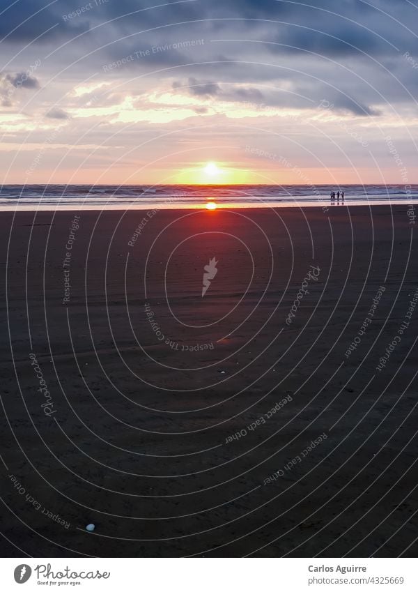 Sonnenuntergang am Strand Landschaft Lagune blau tropisch Natur Insel Sonnenaufgang Abenddämmerung Karibik MEER Urlaub reisen Sand Kokosnuss Meer Glanz