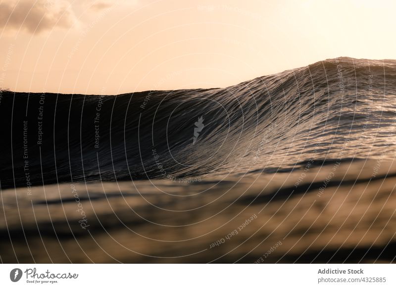 Nahaufnahme einer Riesenwelle im Meer MEER Wasser blau winken Natur abstrakt Hintergrund Sommer Strand platschen Bewegung liquide vereinzelt aqua Textur Farbe