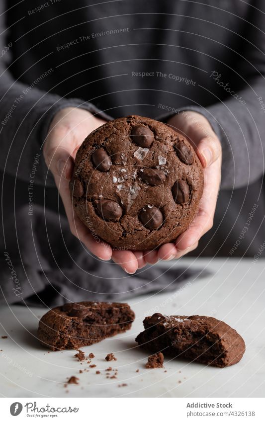 Kropfträger mit Schokoladenkeksen Keks Koch Roggen süß Dessert Person Küche lecker geschmackvoll selbstgemacht Gebäck Biskuit Snack Bäckerei kulinarisch