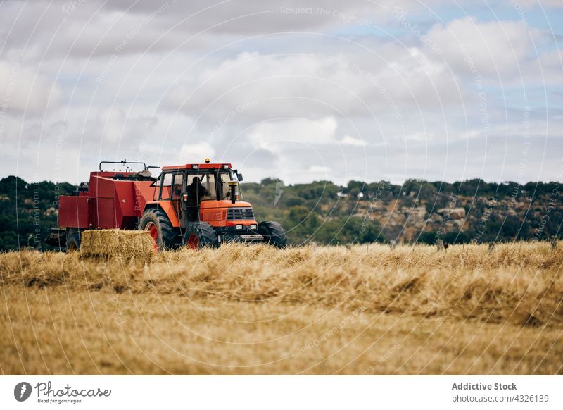 Traktor und Heuhaufen auf dem Feld rollen Heugarben getrocknet Ackerbau ländlich Sommer Landschaft Maschine Fahrzeug Verkehr Umwelt Bauernhof modern Saison