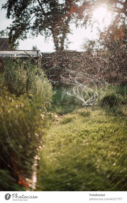 #A# Sommer und Garten, bleib daheim! Trockenheit Pflanze Außenaufnahme Wiese Gartenschlauch Natur Wasserschlauch nass grün Bewässerung Gras Gärtner Schlauch