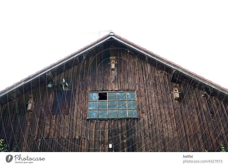 Scheune mit  Holzverschalung und Vogel Häuschen an der Fassade mit eingeschlagenen Fenster zum Einflug von anderen Vögeln oder Fledermäusen Häuschne Bretter