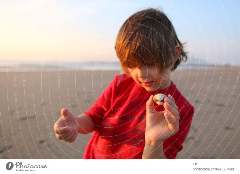 Junge zeigt Muschel in die Kamera Optimismus Religion & Glaube Anschluss positiv unschuldig spielerisch Sinnesorgane Windstille Hintergrundbild natürlich