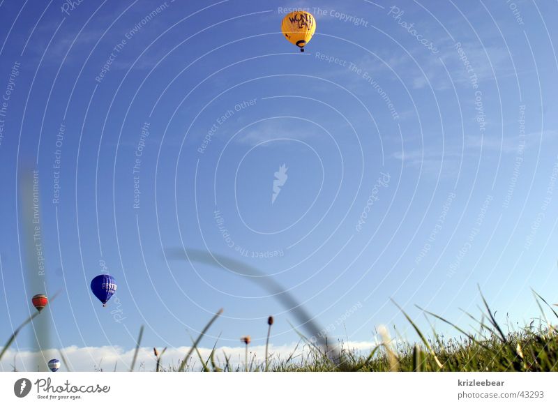 kleine ballons vor großem gras Freude Freizeit & Hobby Jahrmarkt Luftverkehr Gras Wiese Ballone fahren Halm baloon grass Himmel Farbfoto Außenaufnahme