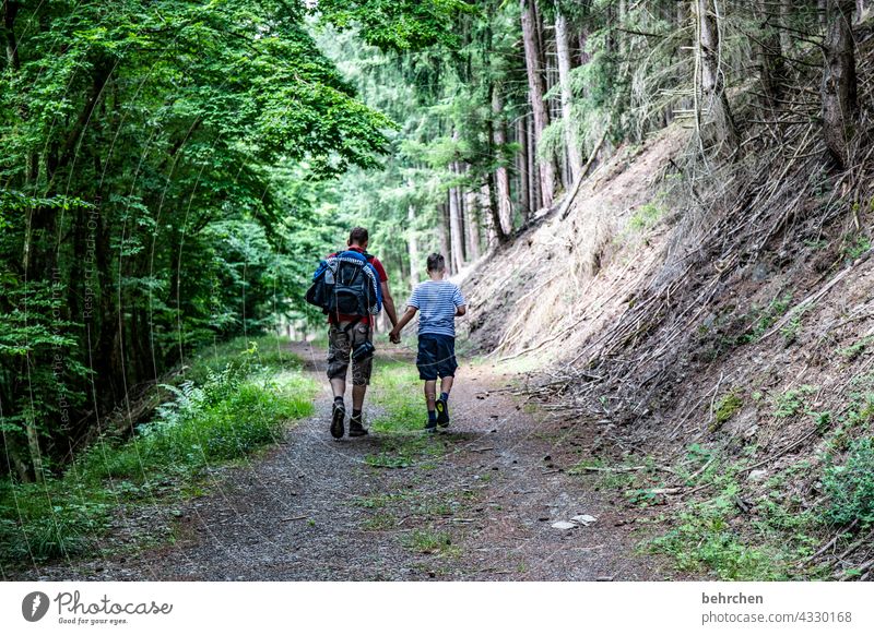 zusammensein Glück Fröhlichkeit Freude Wege & Pfade Wanderer Natur Außenaufnahme Umwelt gemeinsam Zusammensein Sommer Familie & Verwandtschaft Hand in Hand Sohn