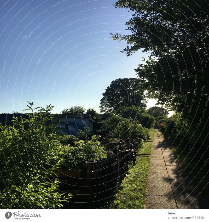 Weg ins kleine Glück garten weg gelände büsche bäume baum himmel sommer gegenlicht grün friedlich erholung genießen ruhe romantik sehnsucht hütte gartenhaus