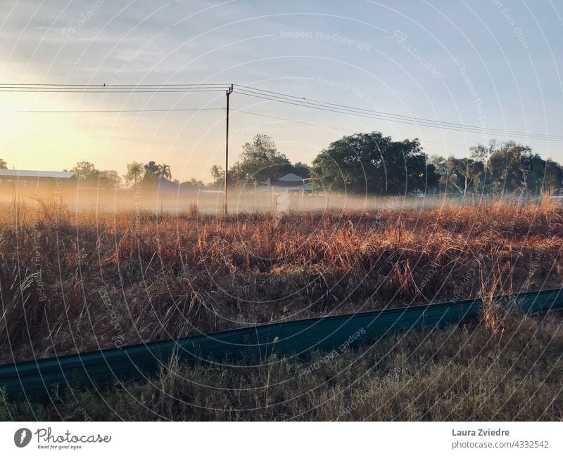 Morgennebel auf dem Feld Nebel Powerline Stromleitung Natur Landschaft Sonnenaufgang Sonnenaufgangslandschaft Sonnenaufgang Himmel Sonnenlicht Saison im Freien