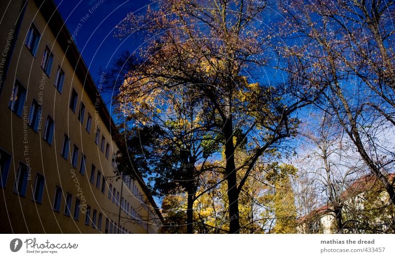 HERBST IM INNENHOF Umwelt Natur Landschaft Himmel Wolken Herbst Schönes Wetter Baum Blatt Garten Stadt Haus Gebäude Architektur Mauer Wand Fassade Fenster schön