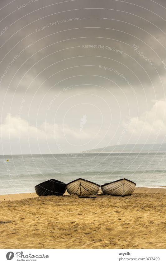 Nußschalen Erholung Meditation Ferien & Urlaub & Reisen Ferne Freiheit Sommer Sommerurlaub Strand Meer Wassersport Schwimmen & Baden Sand Himmel Wolken Horizont