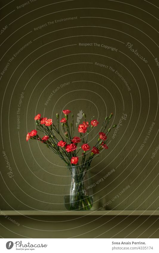 roter Blumenstrauß vor grüner Wand Wandfarben Vase Stillleben wohnen Design Kontrast natürlich dunkel dunkelgrün dunkler Hintergrund