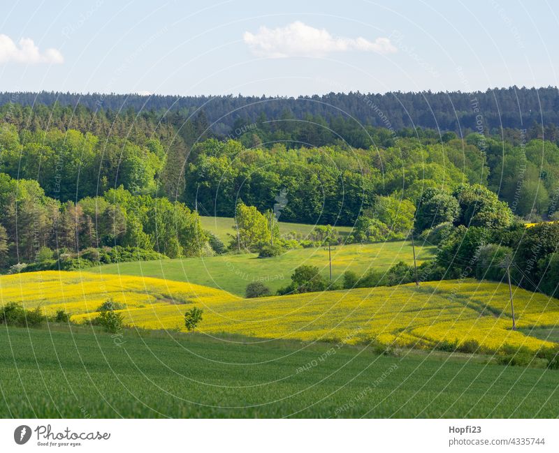 Landschaft im Sommer Natur Nahaufnahme ländlich Feld Ackerboden acre Himmel Baum Außenaufnahme blau Menschenleer Tag Farbfoto Sonnenlicht Wetter Kontrast