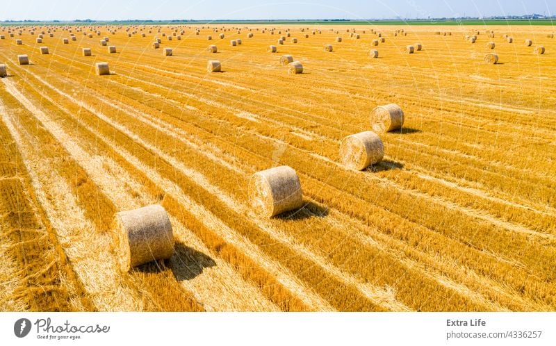 Luftaufnahme eines Feldes mit ausgekleideten Strohballen auf einem Acker oben quer Antenne landwirtschaftlich Ackerbau Ballen Müsli Land Ernte kultiviert