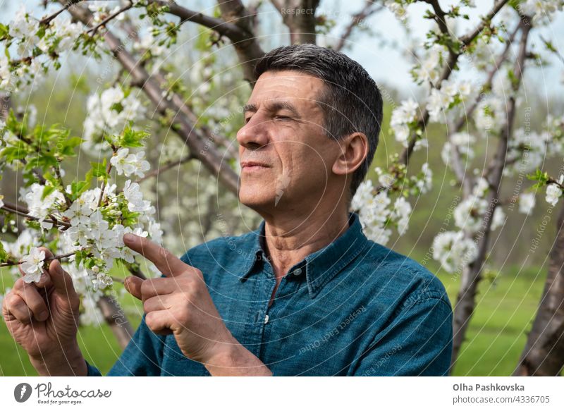 Nahaufnahme eines aufmerksamen Mannes, der einen blühenden Garten inspiziert schön natürlich Flora botanisch Saison Schönheit Gartenarbeit Botanik frisch