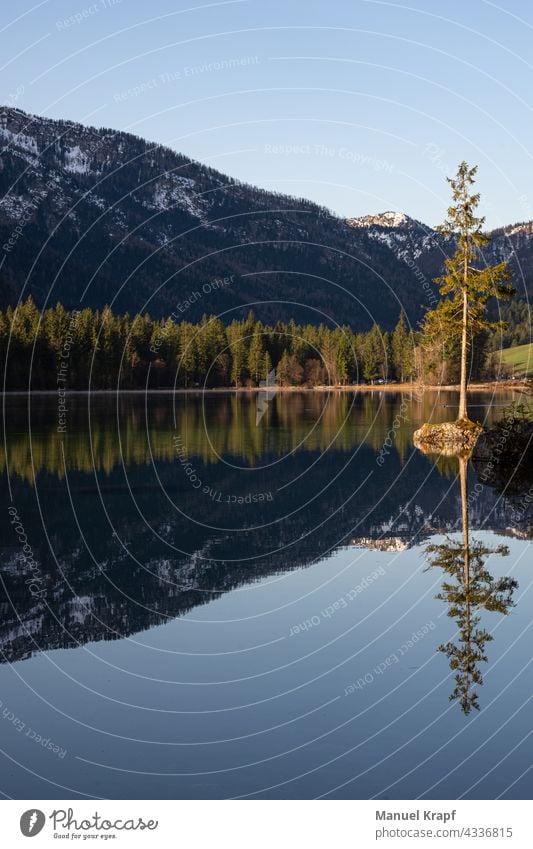 Spiegelung im Hintersee Bayern Bavaria Reflection Mirror Mirror Lake lake See Baum Wasser Wald Berge Deutschland Urlaub Germany Vacation reisen travel Natur