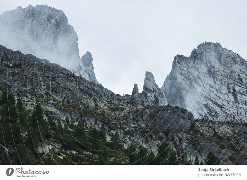 Gipfel in den Zillertaler Alpen, Tirol, Österreich gipfel berg tirol zillertaler alpen österreich berge hochalpen gebirge hochgebirge fels stein schroff