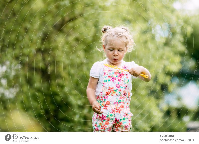 Charmantes Baby Mädchen mit Seifenblasen im Park oder Garten wenig Blasen Freude Kindheit grün Spaß Porträt Schlag schön Sommer spielen niedlich Natur lustig